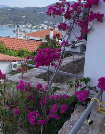 Veranda Blue - Poros Poros Town Ngoại thất bức ảnh